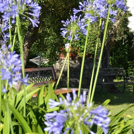 La Pippola De' Cerchi Alloggio per agriturismo Fosdinovo