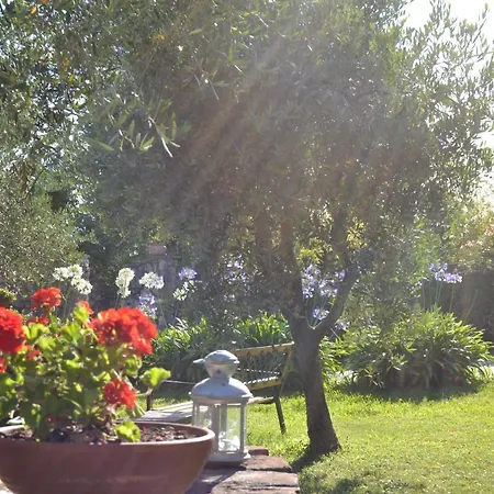 Alloggio per agriturismo La Pippola De' Cerchi *
