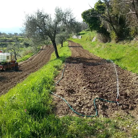 La Pippola De' Cerchi Fosdinovo