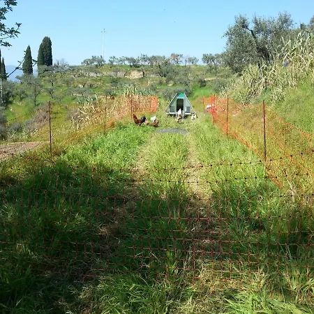 La Pippola De' Cerchi Fosdinovo