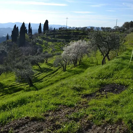 Alloggio per agriturismo La Pippola De' Cerchi