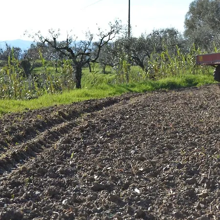 Alloggio per agriturismo La Pippola De' Cerchi *
